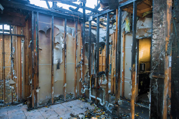 Professional Fire Damage Removal technician working in Selmont-West Selmont, AL